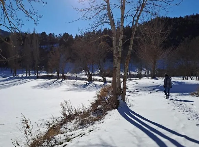 Randonneur Au Camping *