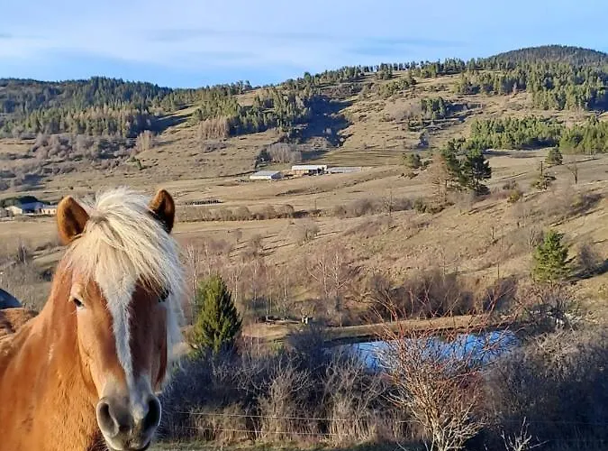 Randonneur Au * Camurac